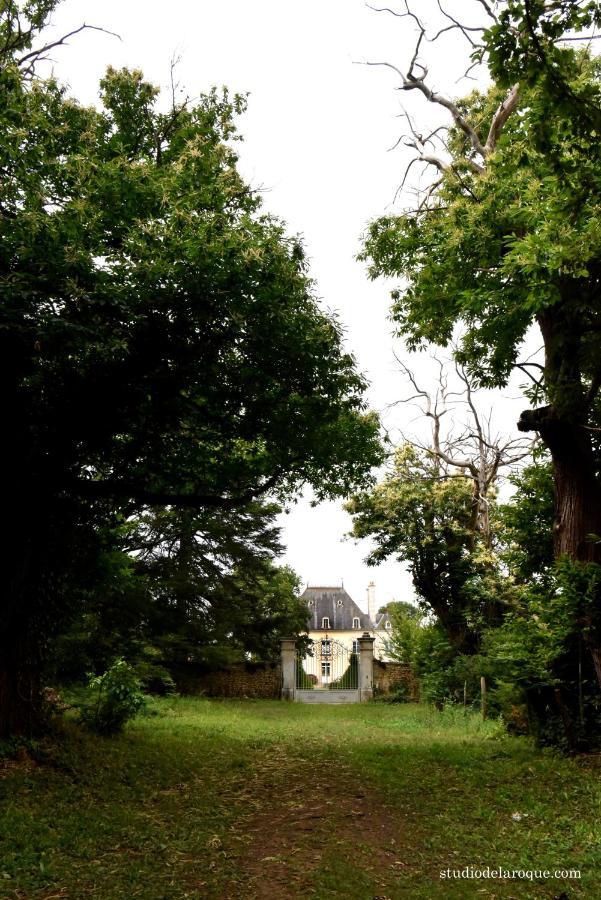 Domaine De La Briouse Bed & Breakfast Sanxay Exterior photo