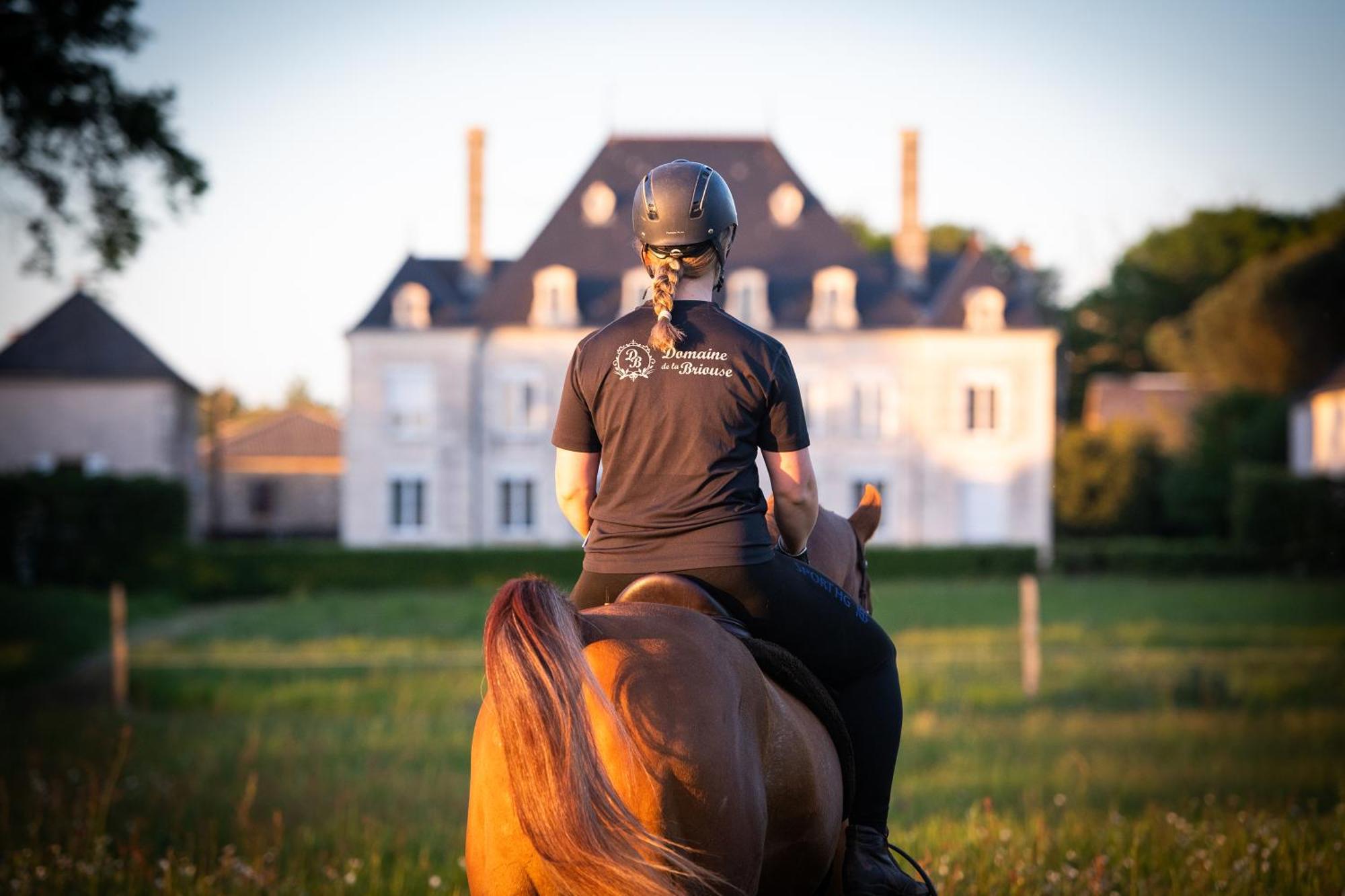 Domaine De La Briouse Bed & Breakfast Sanxay Exterior photo
